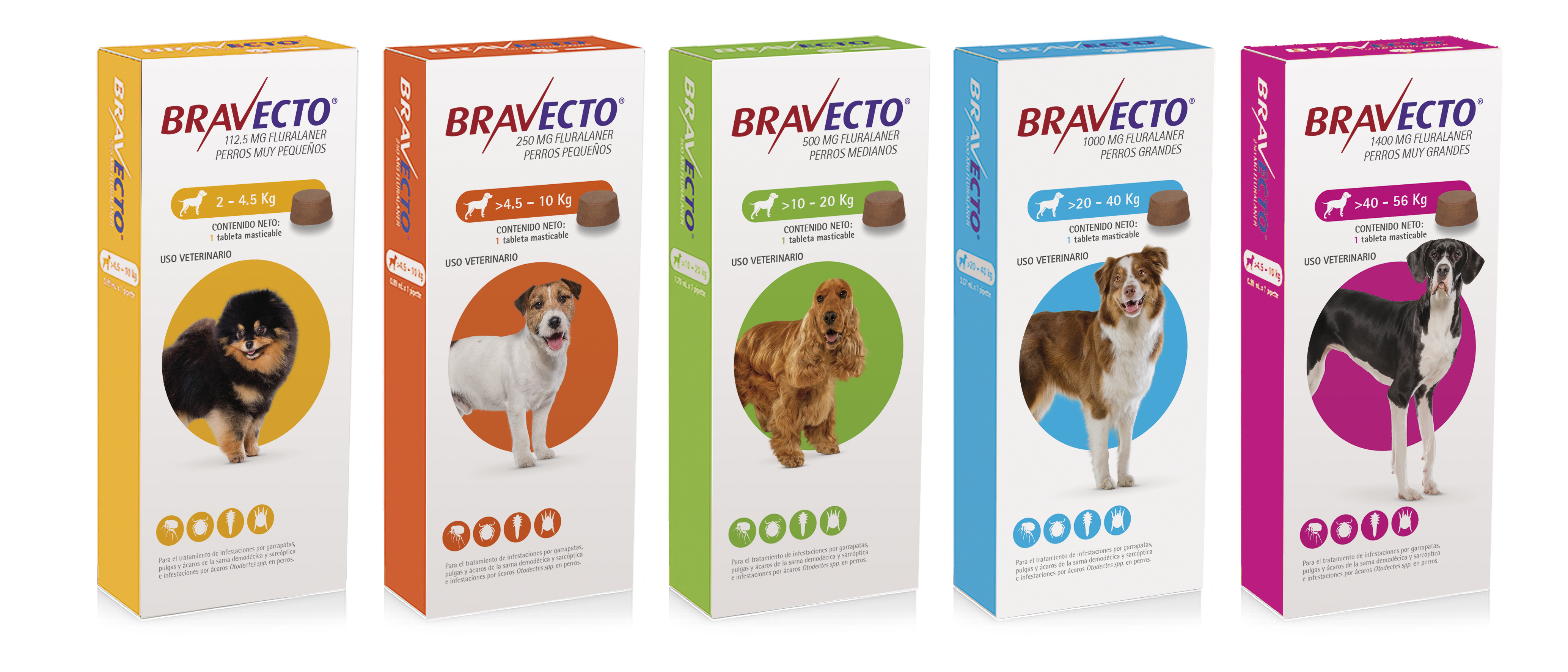 BRAVECTO® | Productos Veterinarios MSD México