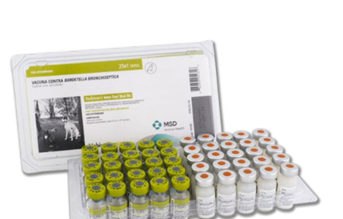 NOBIVAC® INTRA TRAC ORAL Bb