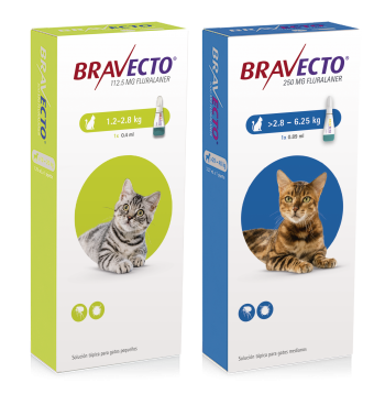 BRAVECTO® ON CAT - MSD Salud Animal México