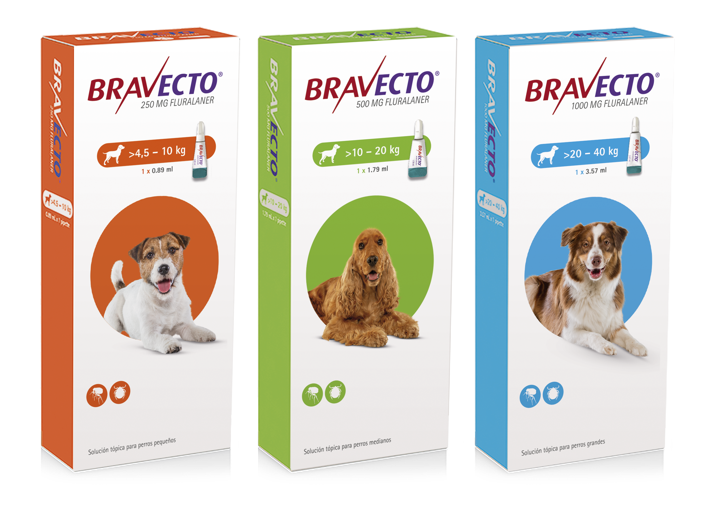 BRAVECTO® SPOT ON DOG - MSD Salud México