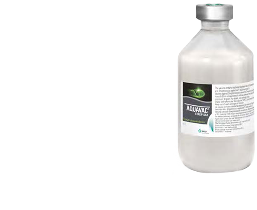 Acuavac-SA1