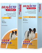 Perros pequeños