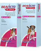 Perros extra grandes