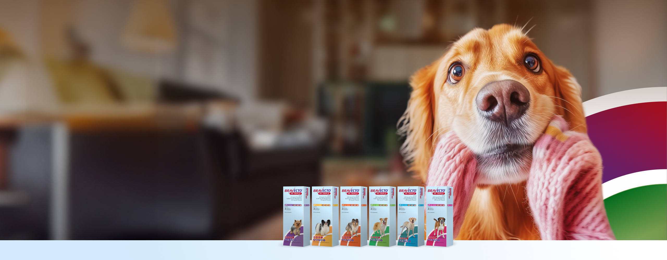 Bravecto 1M Triple