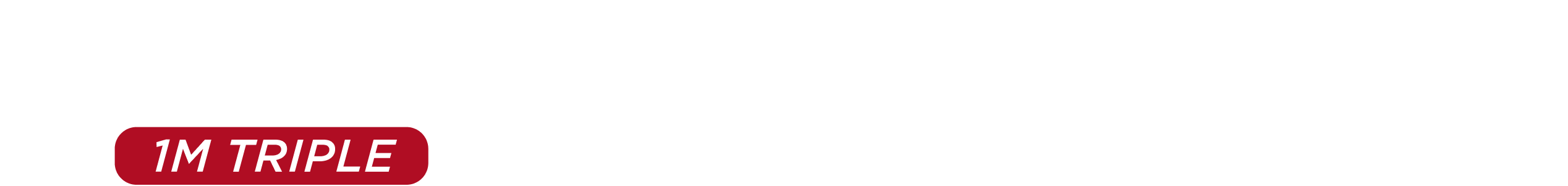 logo-bravecto-triple