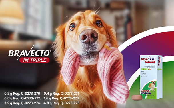 Bravecto® 1M Triple